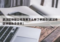 武汉区块链公司发展怎么样了啊现在[武汉市区块链协会会长]