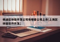 杨浦区块链开发公司有哪些公司上市[上海区块链软件开发]